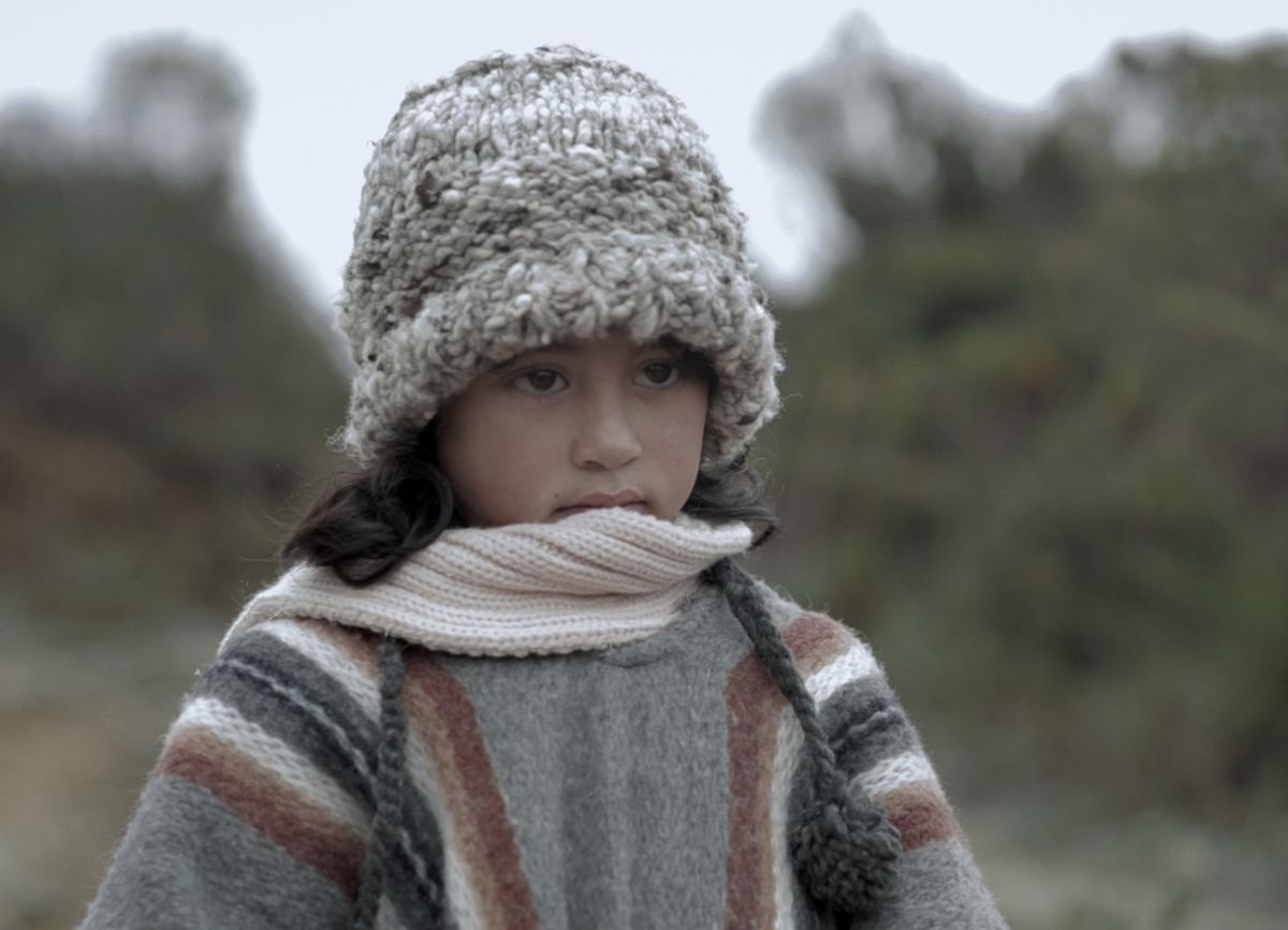 Muestra de Cine Colombiano