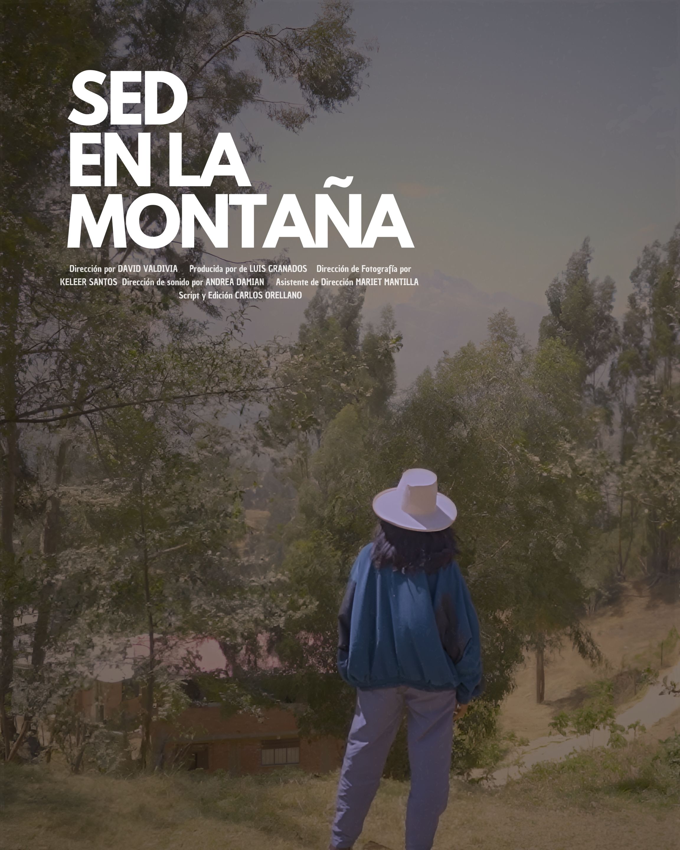 Poster de la película de Sed en la montaña