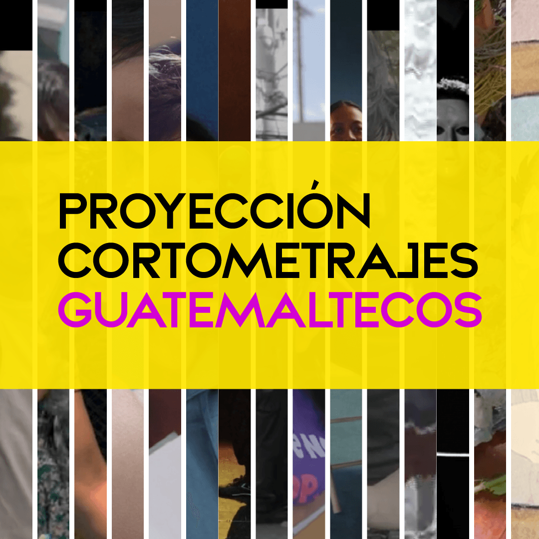 PROYECCIÓN