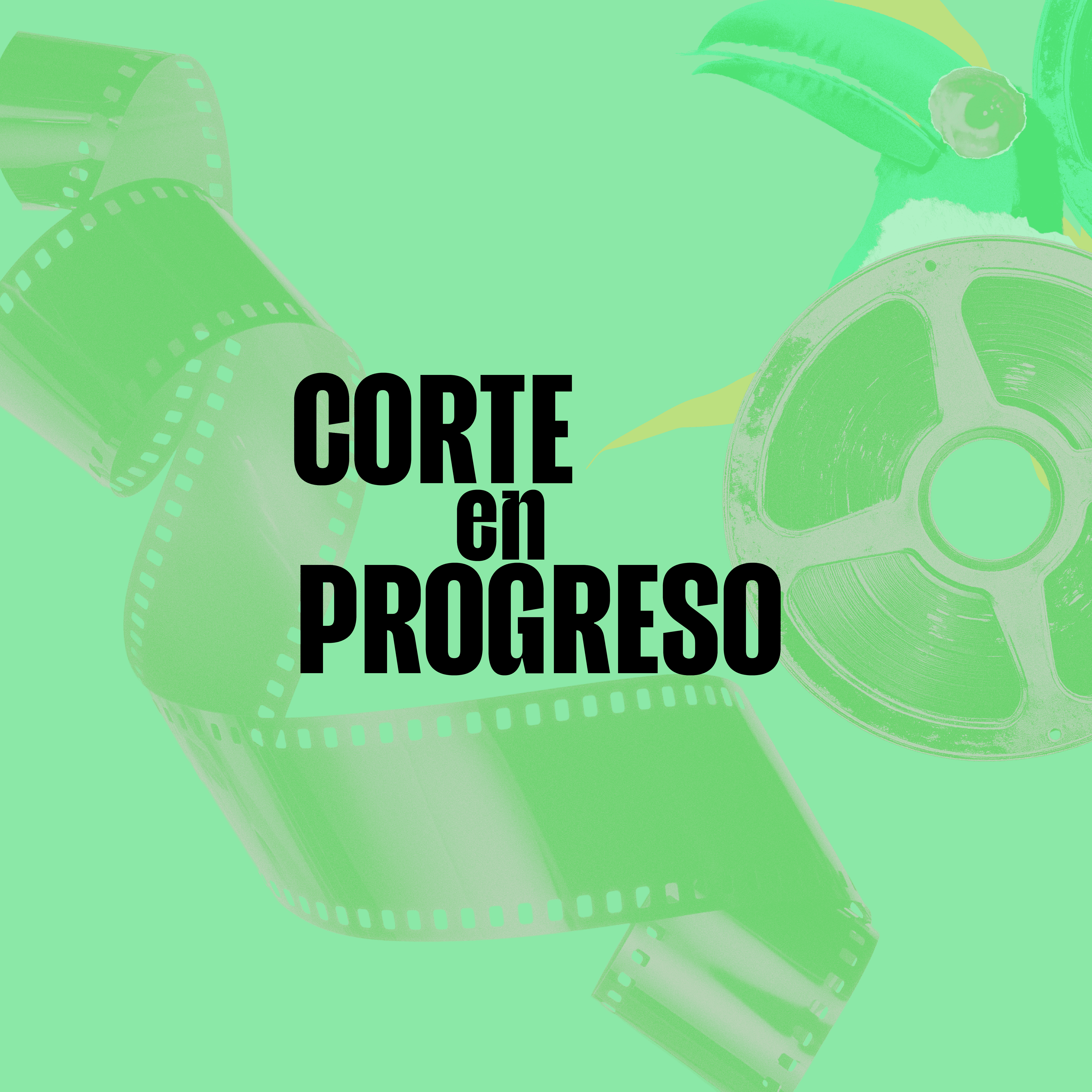 CORTE EN PROGRESO